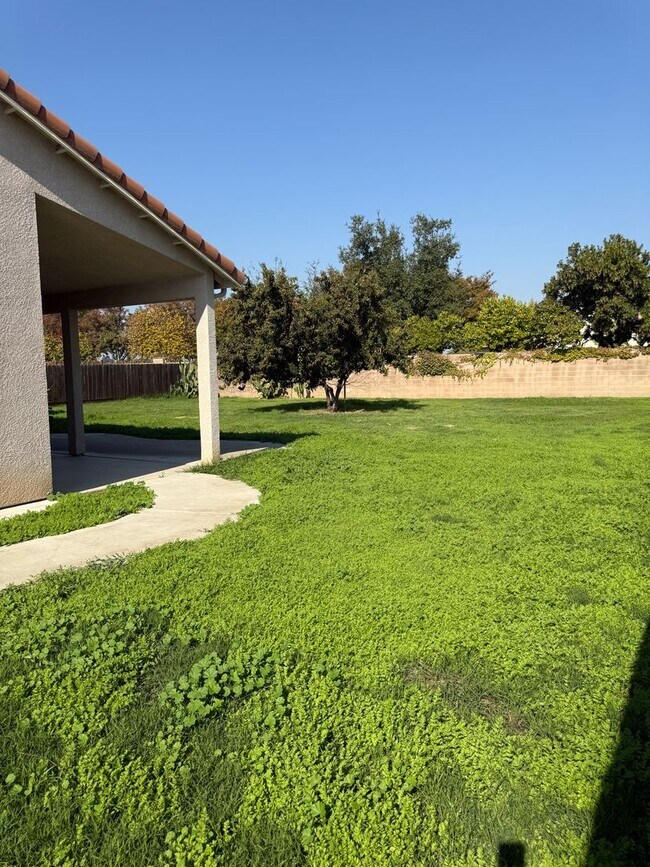 Building Photo - 4 bedroom 2 bath NW Visalia Home in Desira...