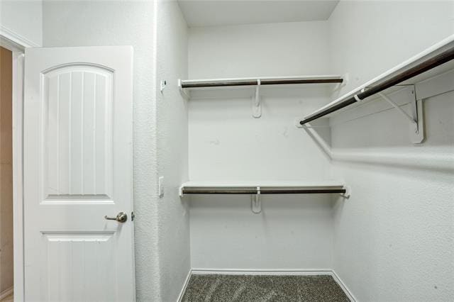 Building Photo - 10312 Lastrup Dr
