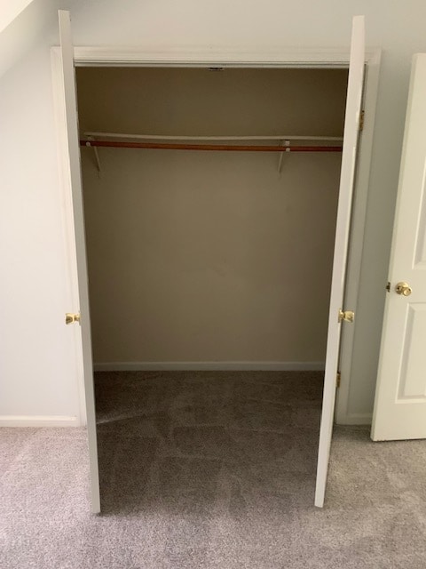 Back Bedroom Closet - 105 Wellesley Dr