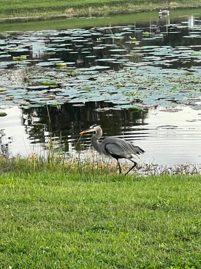 Building Photo - 1605 S Club Dr