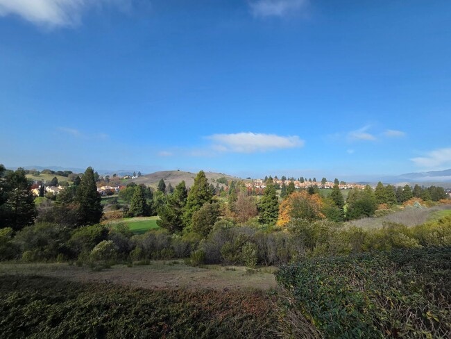 Building Photo - Large 2 Bedroom, 2 Bath Condo in San Ramon