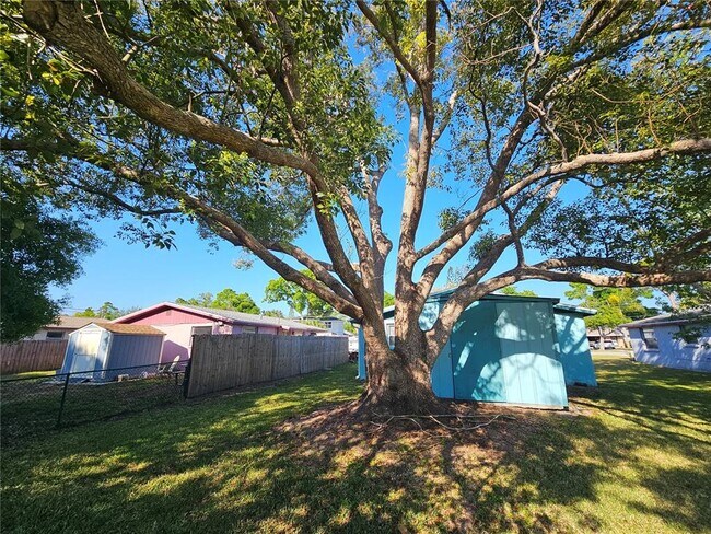 Building Photo - 4849 Camphor Ave