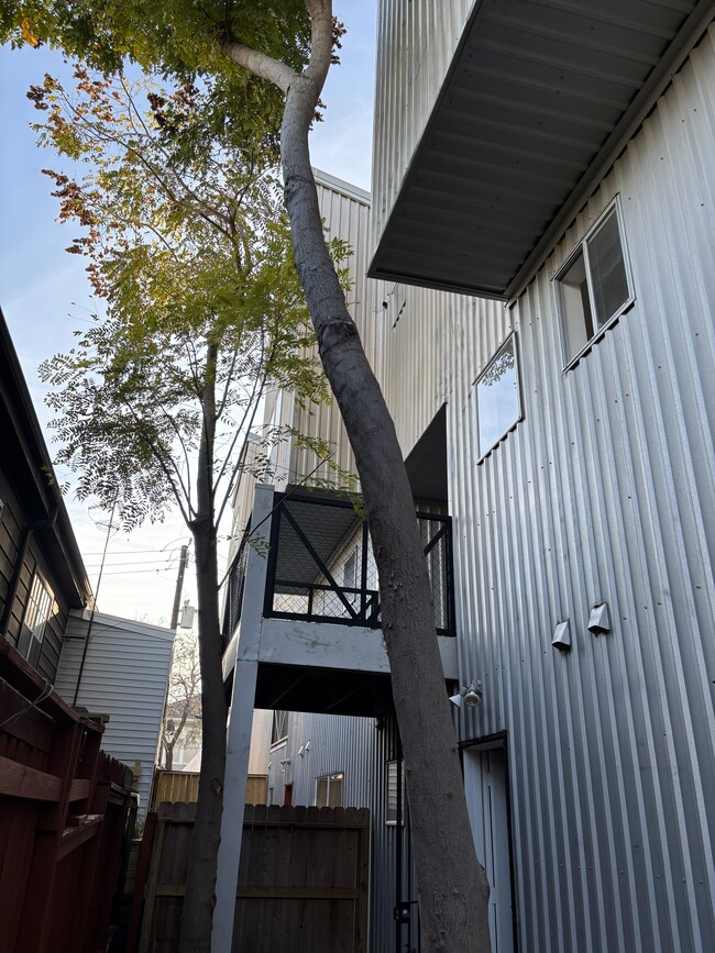 Building Photo - 2909 Albany St