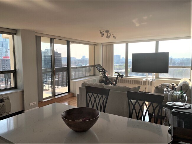 Living Room - 1360 N Sandburg Ter