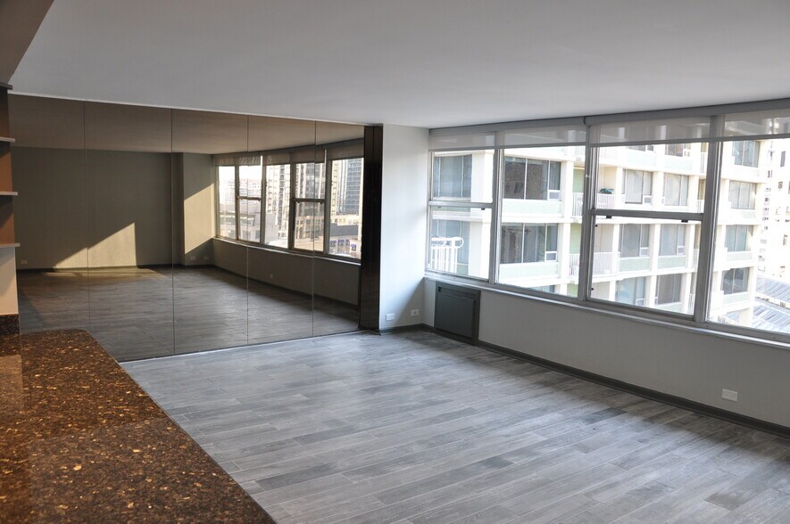 Living Room - 1000 N Lake Shore Dr