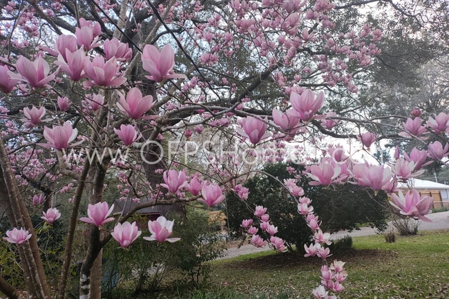 Building Photo - Bayou-Front Home w/ Dock