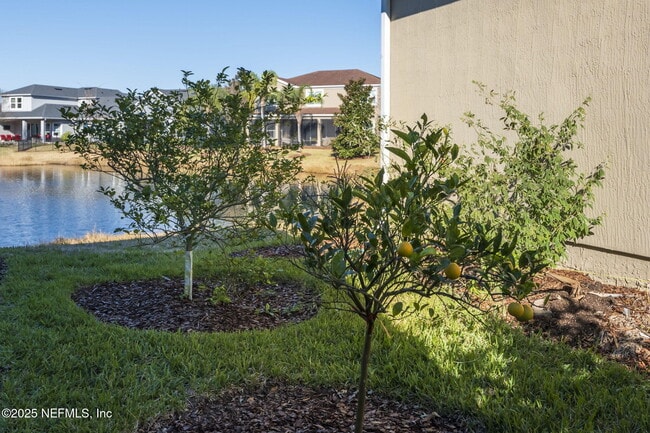 Building Photo - 8578 Mabel Dr