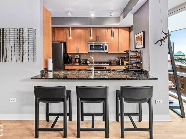 Building Photo - 505 N McClurg Ct