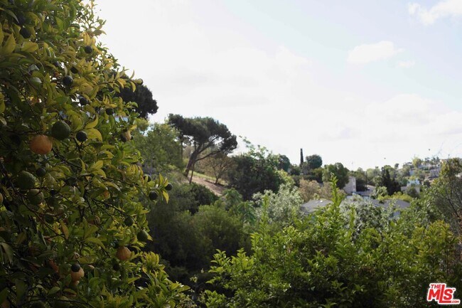Building Photo - 1112 Montecito Dr