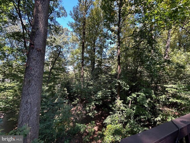 Building Photo - 11637 Quail Ridge Ct