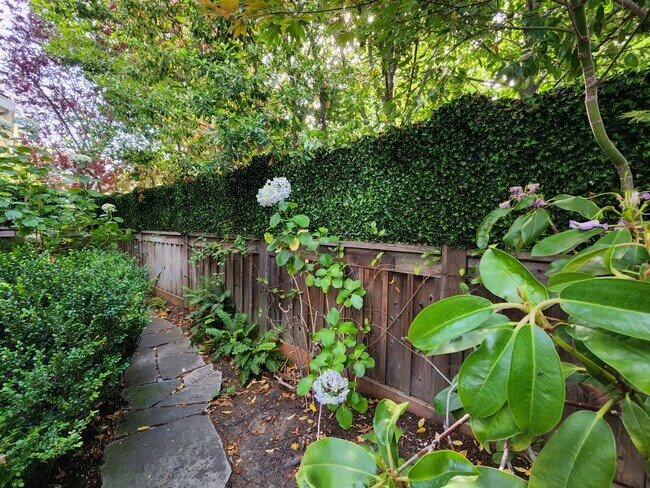Building Photo - Updated Home Available in Downtown Palo Alto available first week of September!