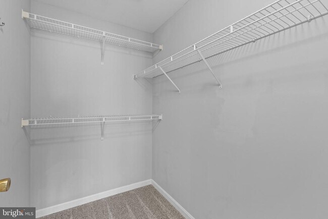 Building Photo - 501 Mathias Hammond Way