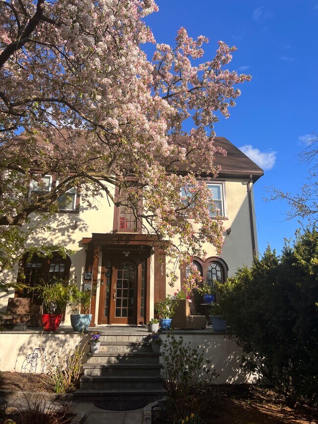 299 5th Ave 299 5th Ave New Rochelle NY 10801 Apartment Finder