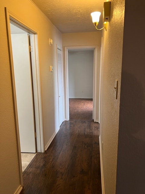 Building Photo - 1007 Spring Loop