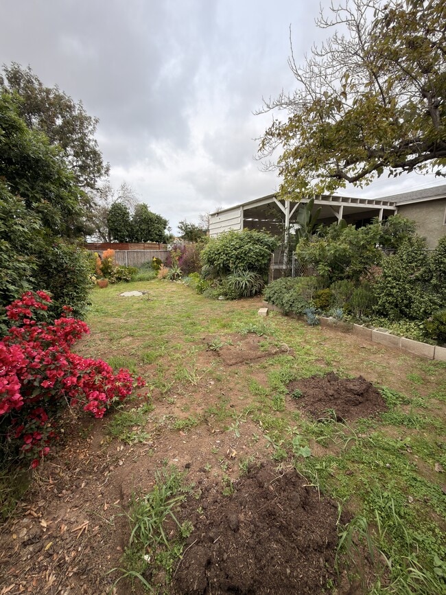 Building Photo - 2778 Mimika Pl