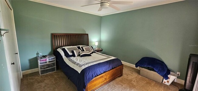 Building Photo - 36750 US Hwy 19 N