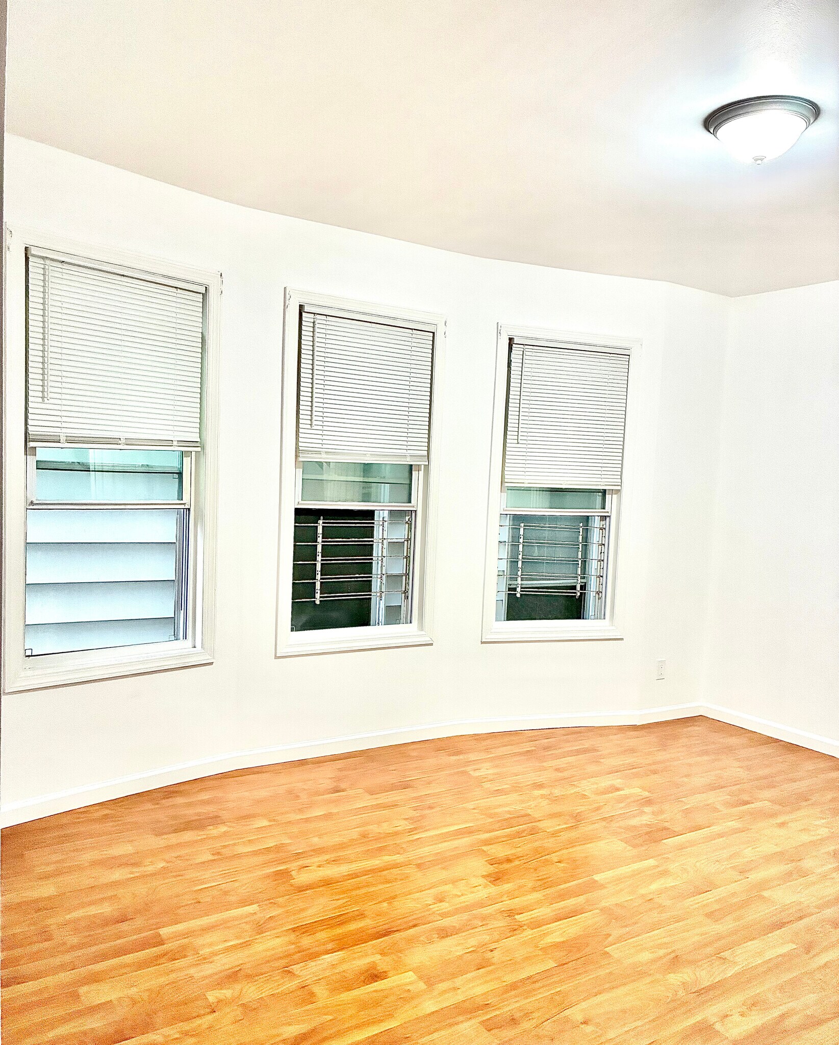 Living Room - 261 Ridge St