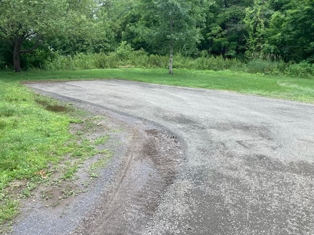 Backyard and off-street parking - 4 Charles Ln