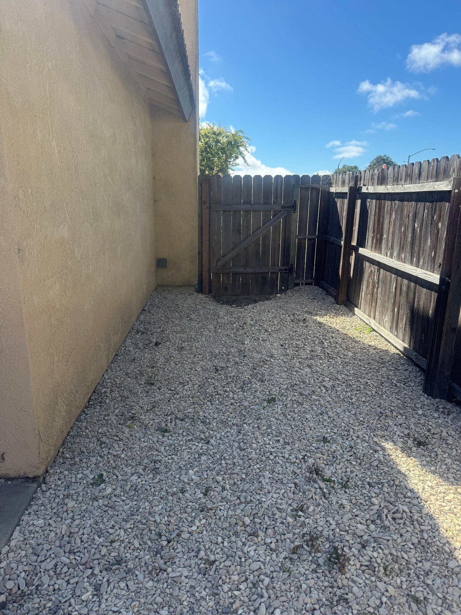 Backyard2 - 725 Summerwood Ln
