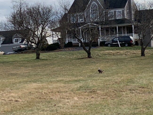 Building Photo - 8914 Watkins Rd