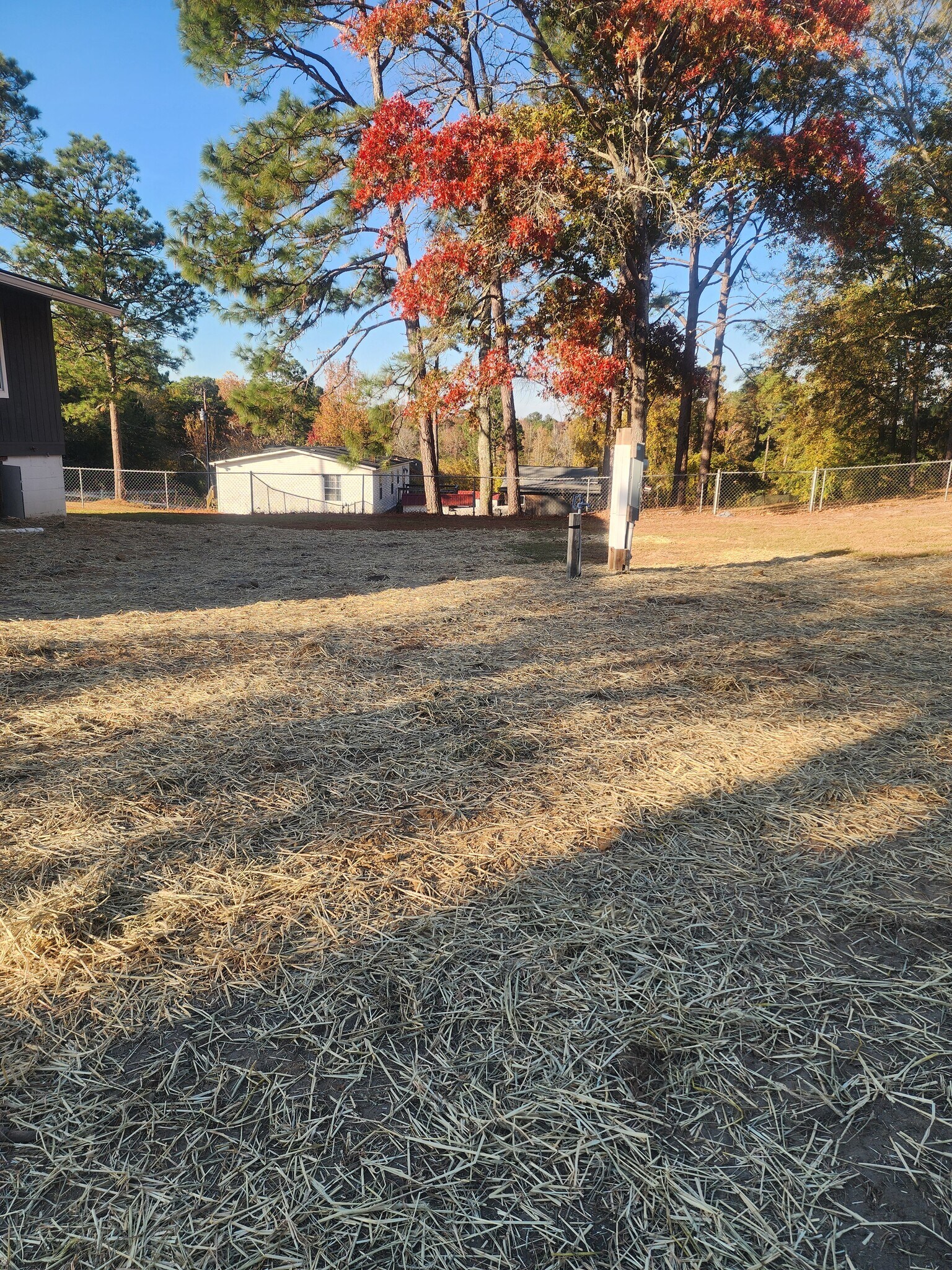 Left of yard - 3231 Dorian Rd