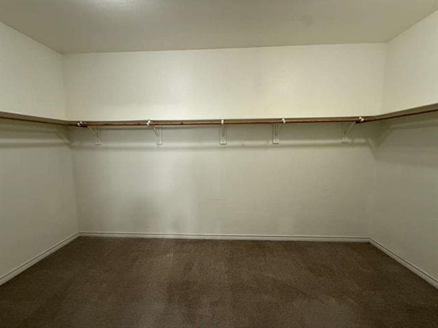 Building Photo - 305 Moonlight Dr