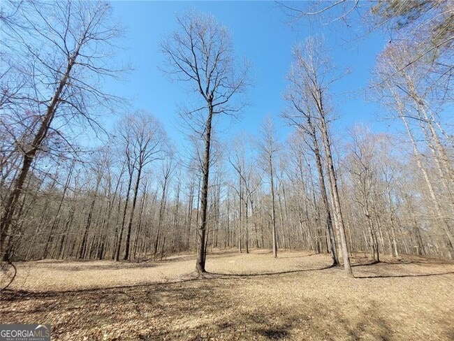 Building Photo - 6110 Matt Hwy