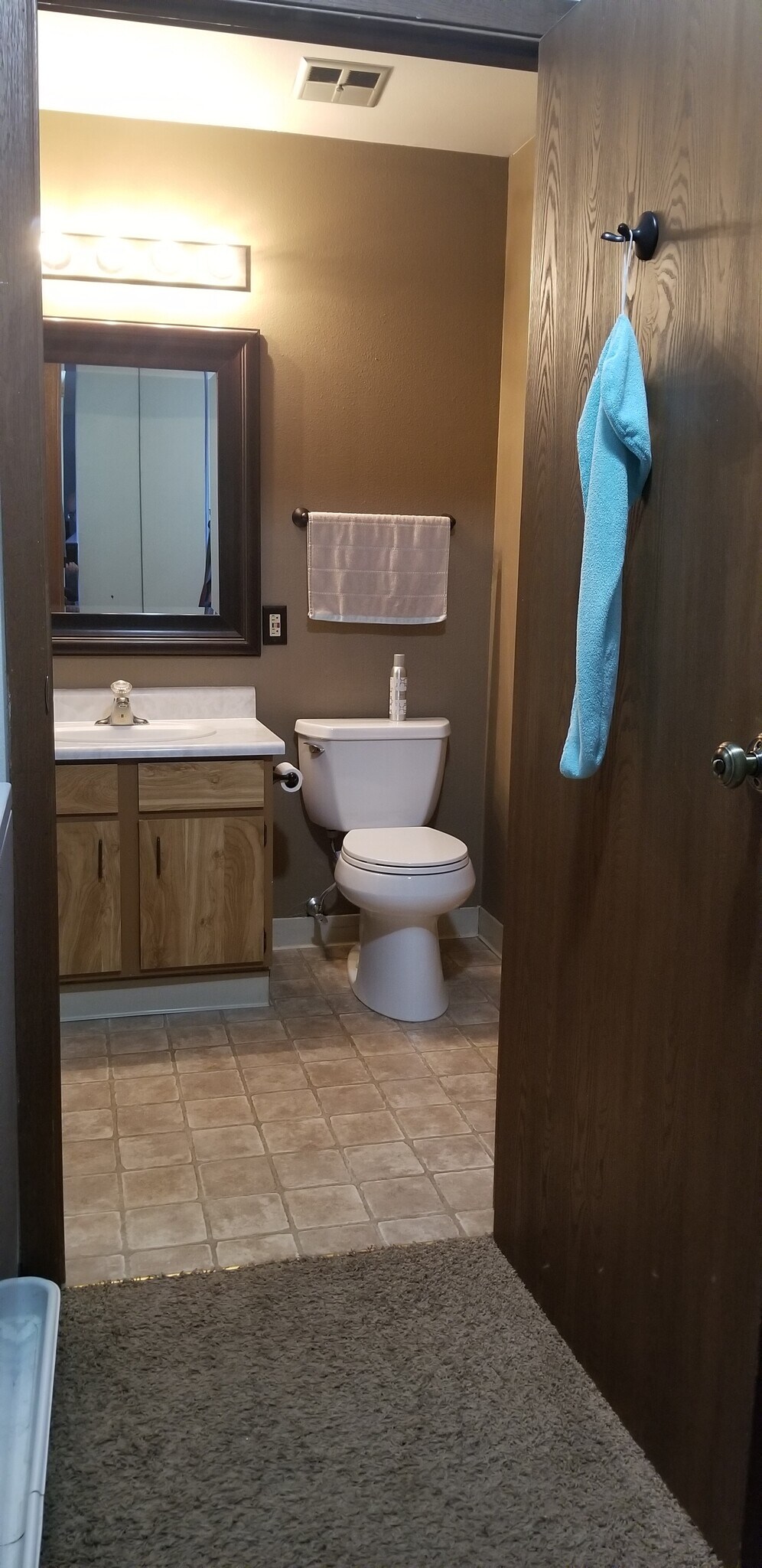 Entry to main bath from Master BR - 5325 Brody Dr