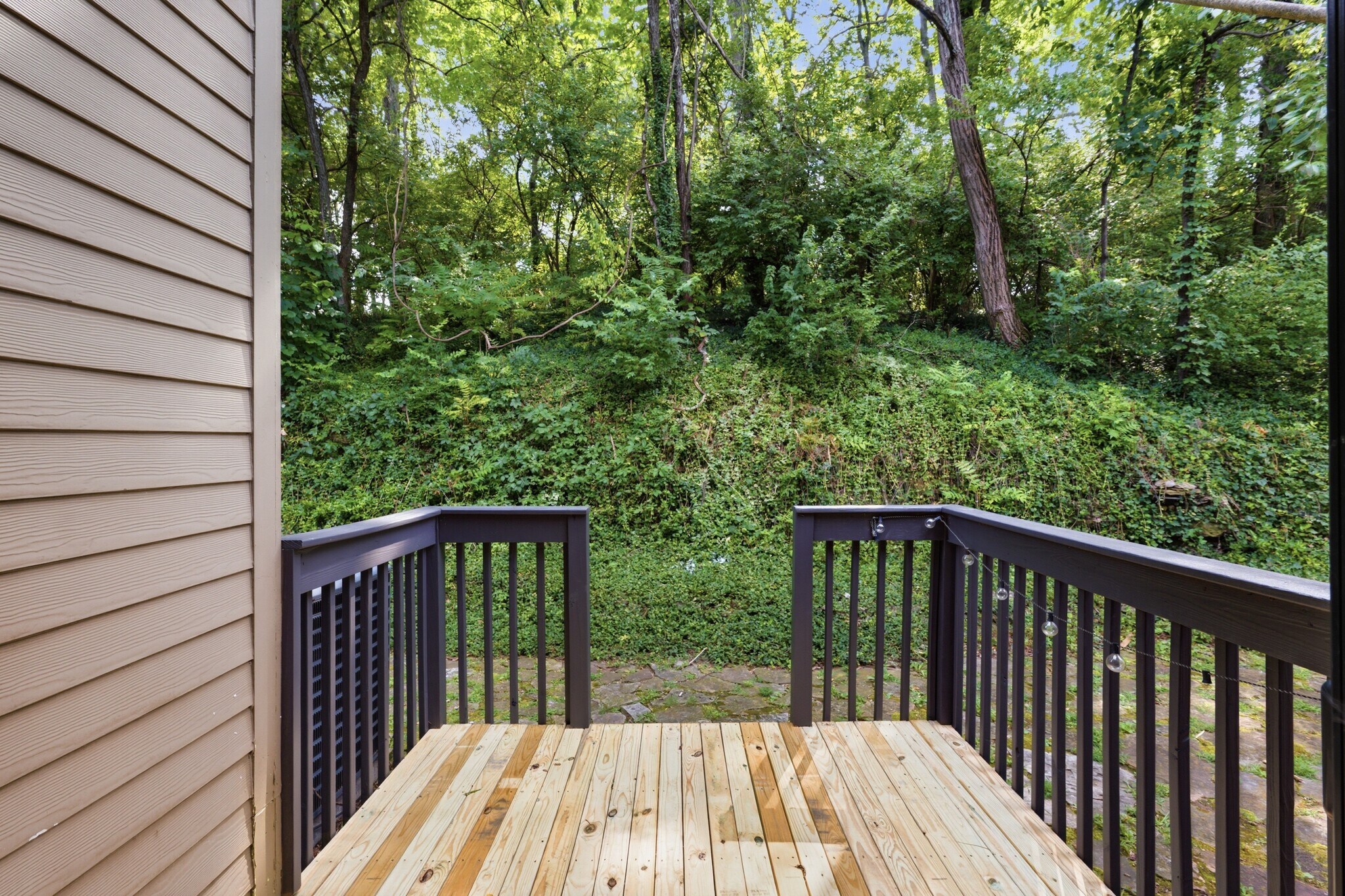 Privacy in the back - 254 Summit Ridge Dr