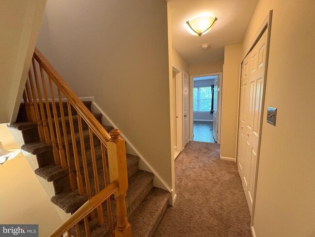 Building Photo - 5603 Spruce Mill Dr