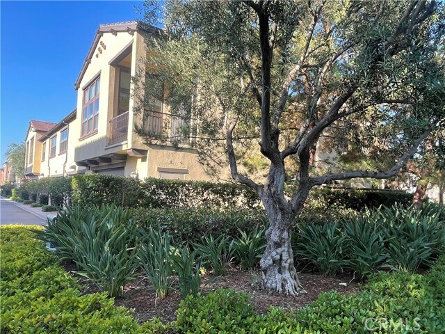 Building Photo - 276 Rodeo