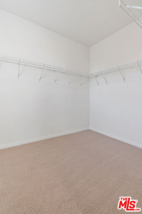 Building Photo - 725 Daniel Freeman Cir