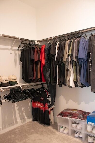 Building Photo - 1709 Novara Trl