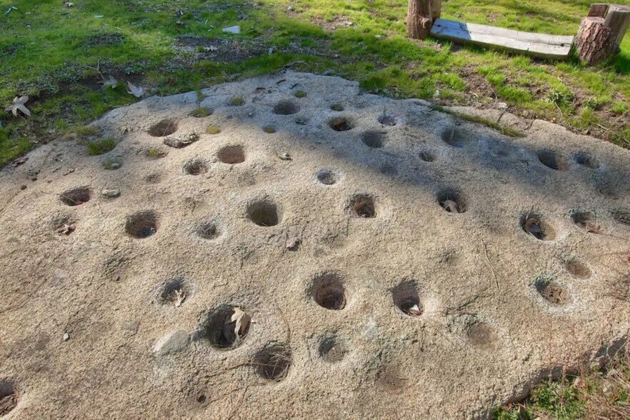 Building Photo - 2410 Coachman Rd