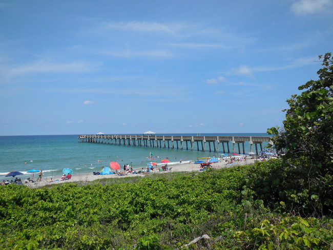 Building Photo - 800 Juno Ocean Walk