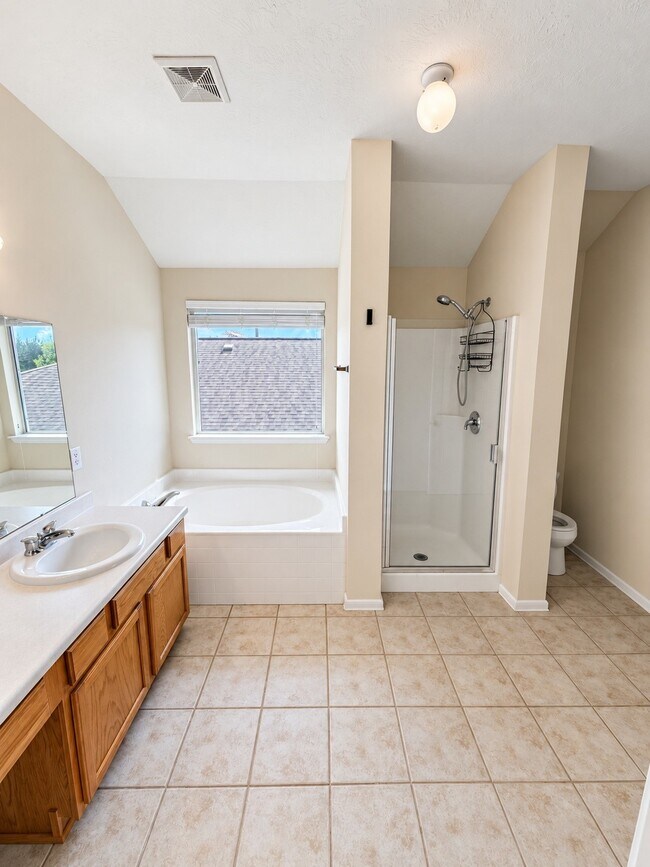 Building Photo - 17322 Brookhollow Mist Ct