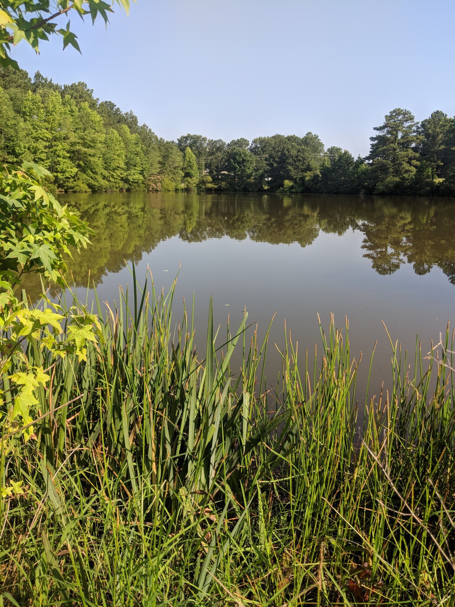 Small lake only a 5 minute walk from house through the trail. - 1547 Fountain Ridge Rd