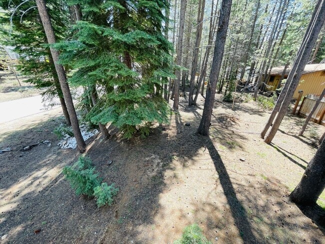 Building Photo - 3 bed 2 bath house for rent in South Lake Tahoe