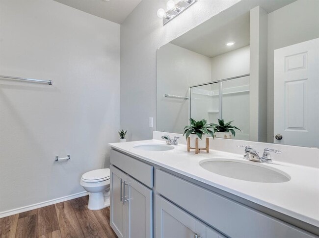 Building Photo - 388 Begonia St