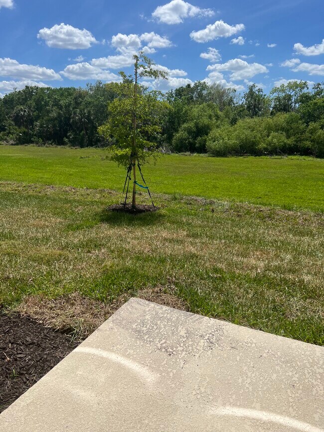 Building Photo - 8549 Lunar Skye St