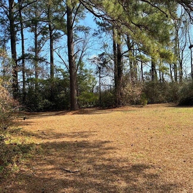 Building Photo - 4 Bedroom 3 Bath Home in Winnabow, NC