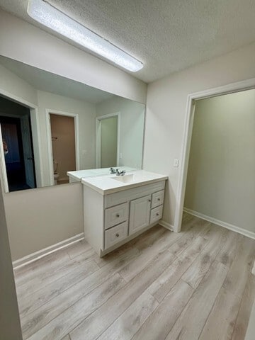 Master Bathroom with walk-in closet - 346 N Birchwood Dr