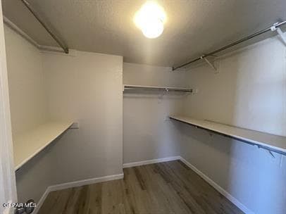 Building Photo - 7159 Seco Palm St