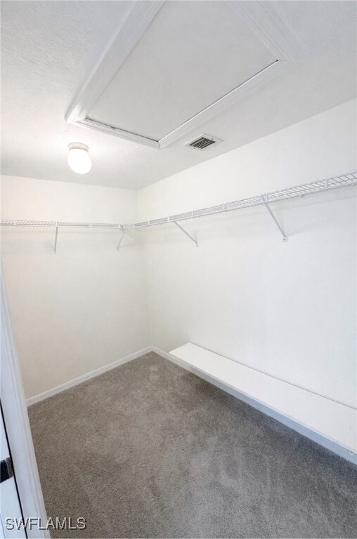 Building Photo - 1228 Commonwealth Cir