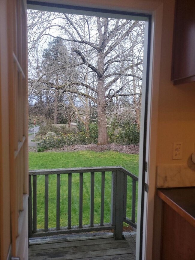 Building Photo - Apartment Availabile, near Children's Hospital and University of Washington