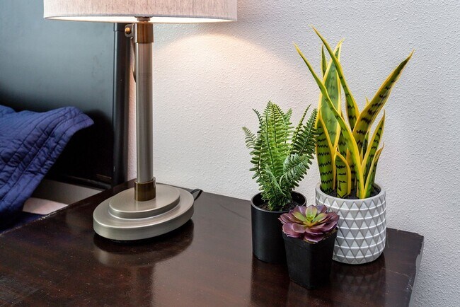 Building Photo - 3 Bedroom Homes for rent in Pleasant HIll, IA