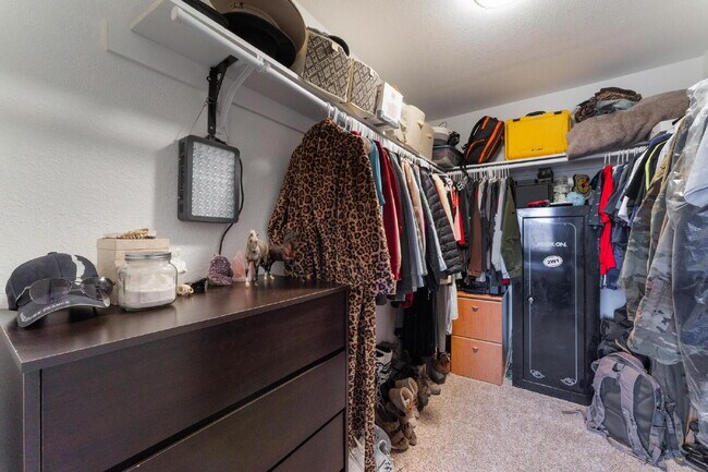 Building Photo - 2 Bedroom 1 bath Single Story Home on Large Lot with Solar and Water Purification