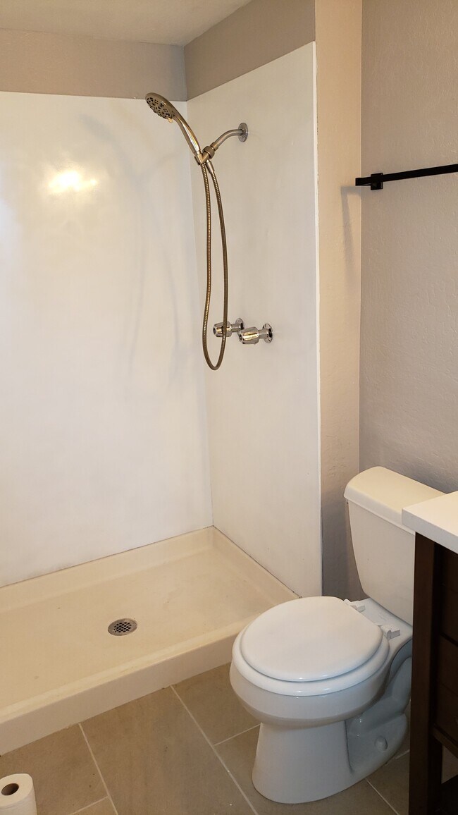 Primary shower - 1848 Alpine St