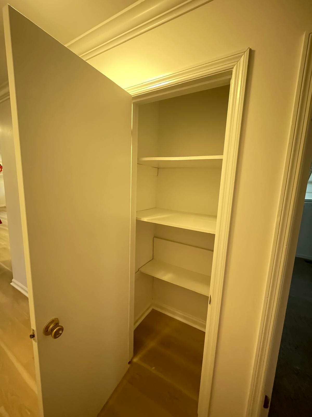 Storage Closet (located in the hallway) - 1936 Ashmore Ave