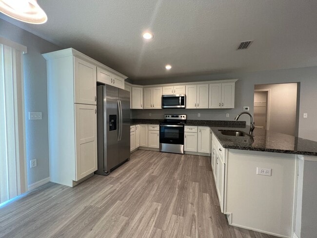 Building Photo - GORGEOUS 3 BD/2BA Home in Beautiful Ocklawaha!!!